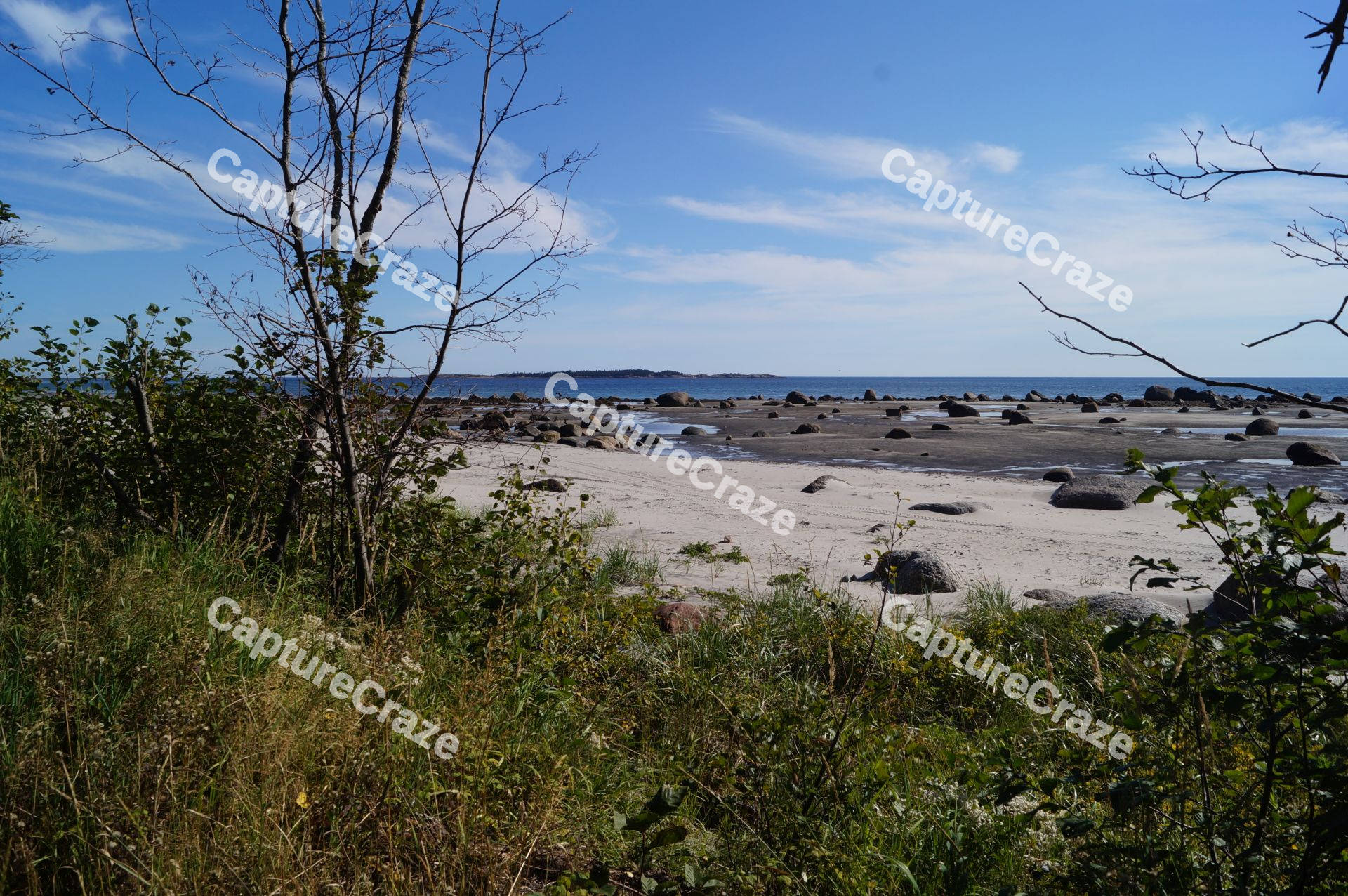 Beach And Town